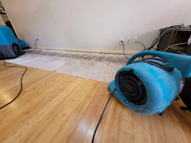 Professional Ceiling Water Damage Repair technician working in Booneville, AR